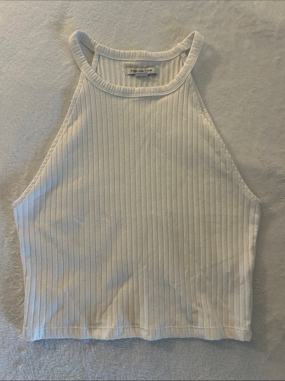 American Eagle Outfitters White Ribbed Halter Crop Tank